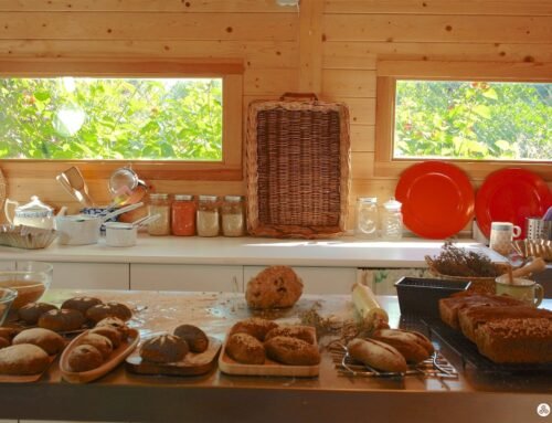 FORMACIÓN ON LINE SIN GLUTEN ECOLÓGICA Y LIBRO FISICO CON RECETAS MAGISTRALES